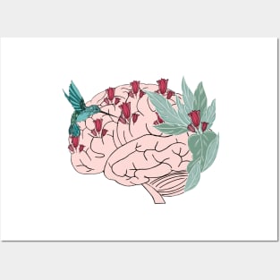 Anatomy brain art Posters and Art